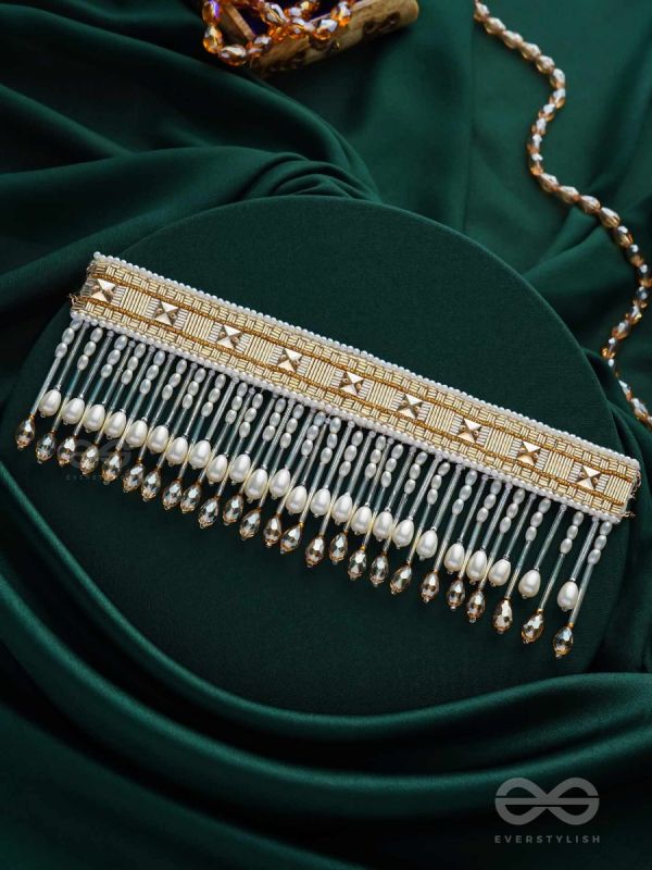 Anshumali- The Sunny Sky- Stones, Pearls and Glass Beads Embroidered Choker Necklace 